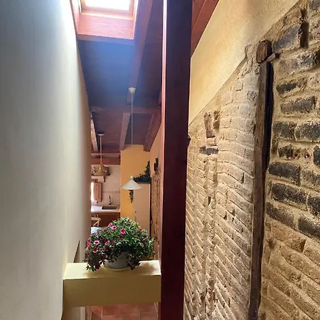 La Colmena De * Gata